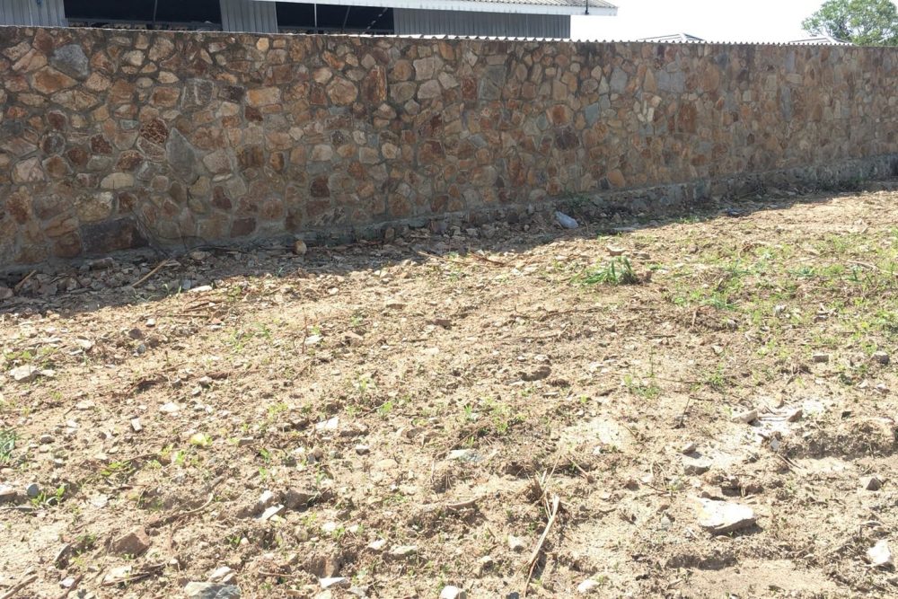 617362658_10229610106226244_4146405478916533667_n