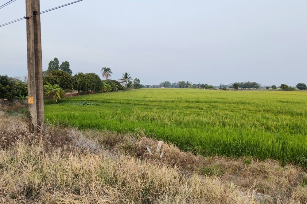 617568210_26679621164971325_3370193923219709279_n