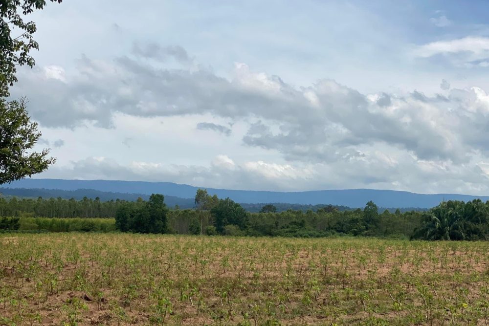 618063015_26140411178883749_1804594953105477411_n