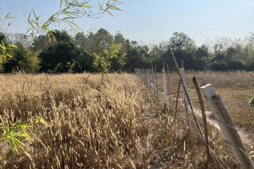 618518561_3973549612776246_2748514667480166407_n