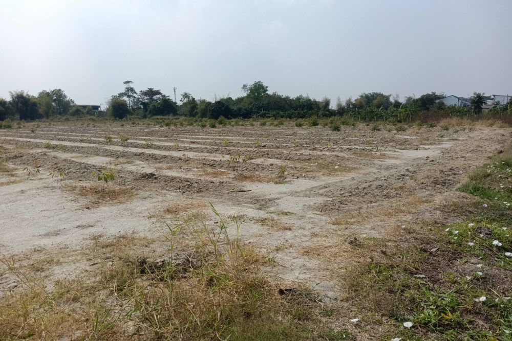 618735933_882226004398276_6809120449647289260_n