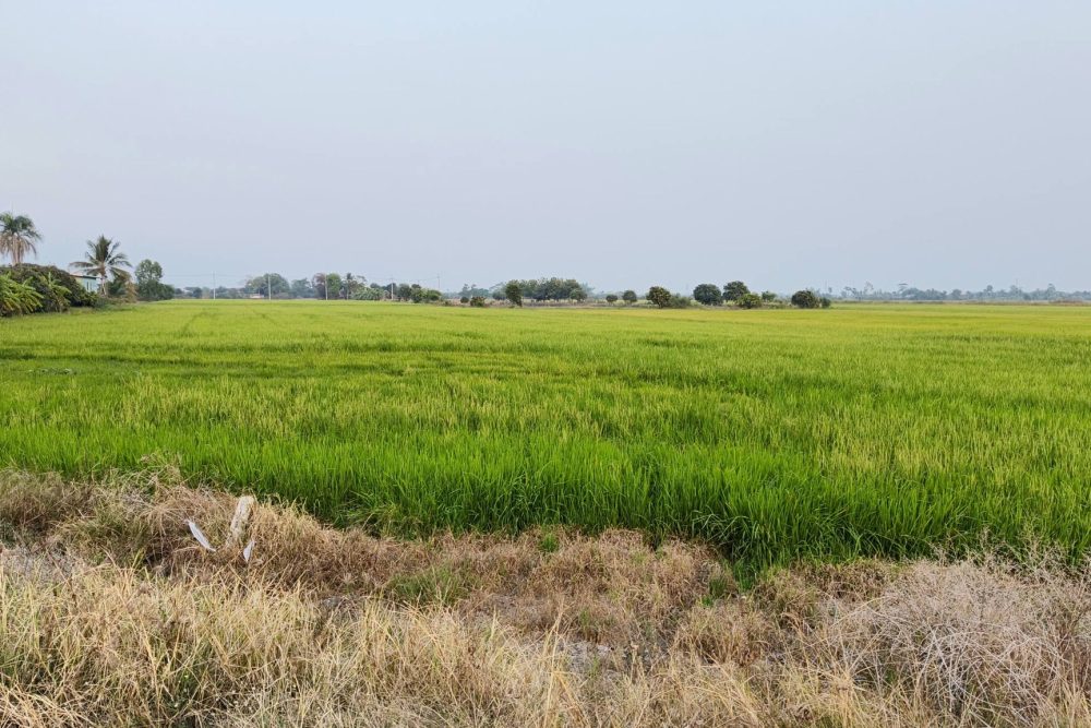 619101208_26679620804971361_2673992043741721135_n (1)