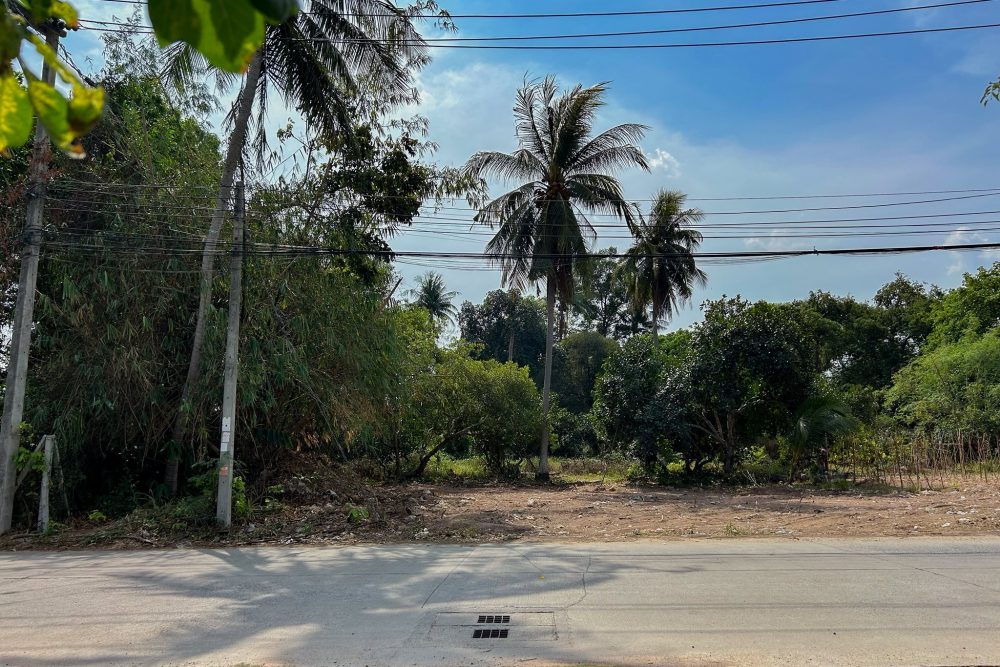 621217479_3788783161255633_4078454658949553681_n