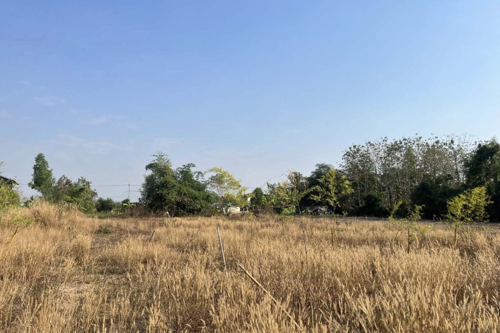 622347058_3973549719442902_7483548157609049321_n