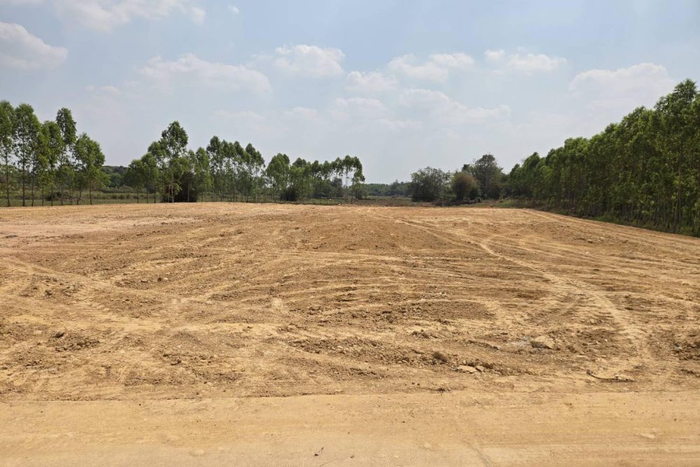 622536445_2441977012975881_1070137011322651300_n