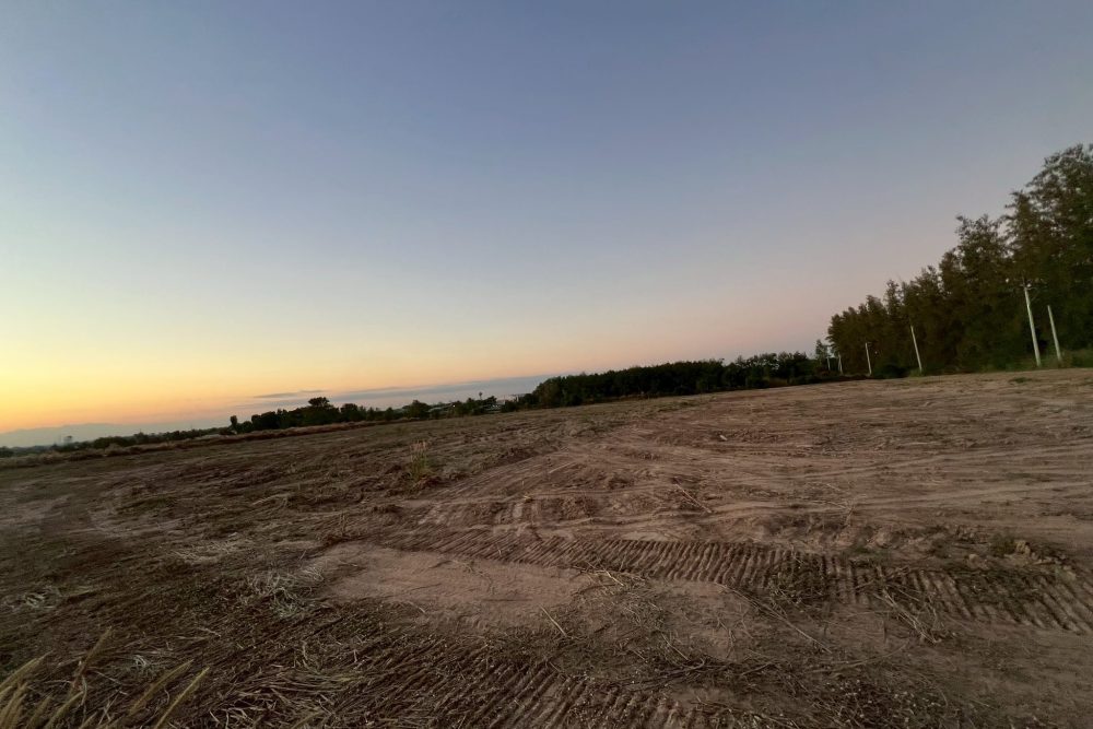 622597823_838060479291160_257682168070865657_n