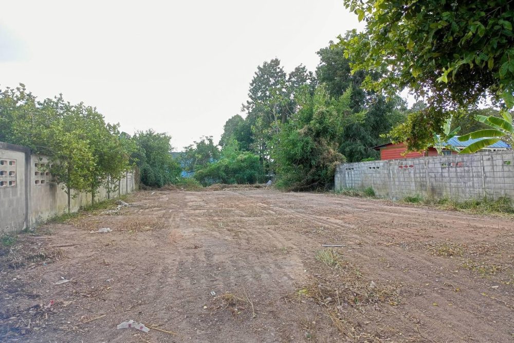 622599545_26266837286256008_1749003224046930860_n