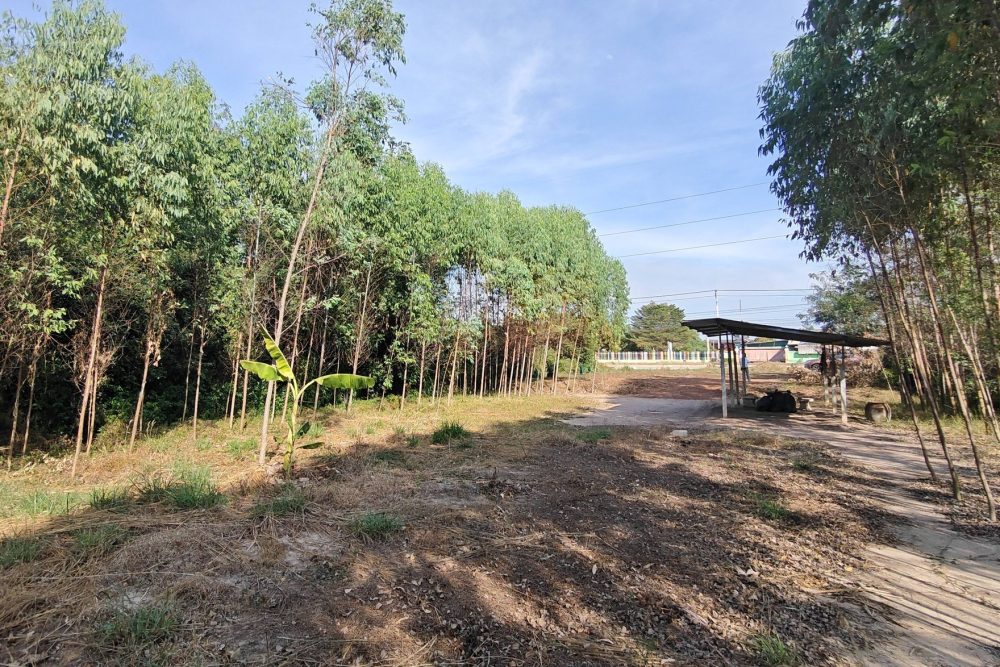 625016488_10224607856062285_8586695980440355886_n