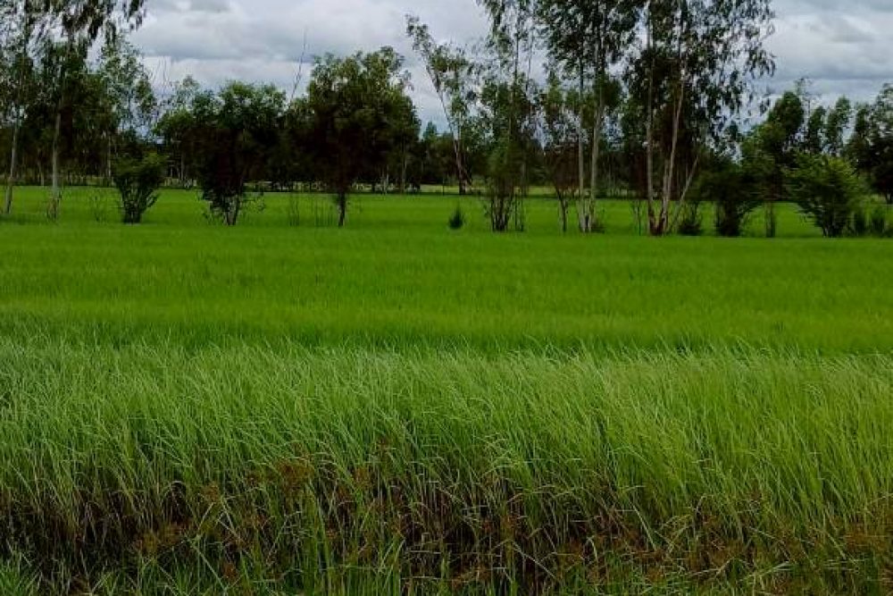 625043146_26289273083989567_8993808978667593724_n