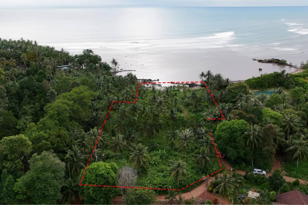 625087372_25682945404667636_3576393254671639523_n