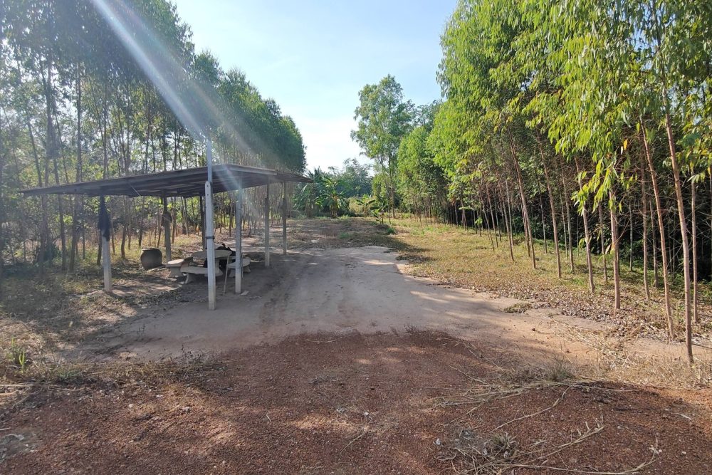 626396883_10224607855422269_4237907472061206855_n