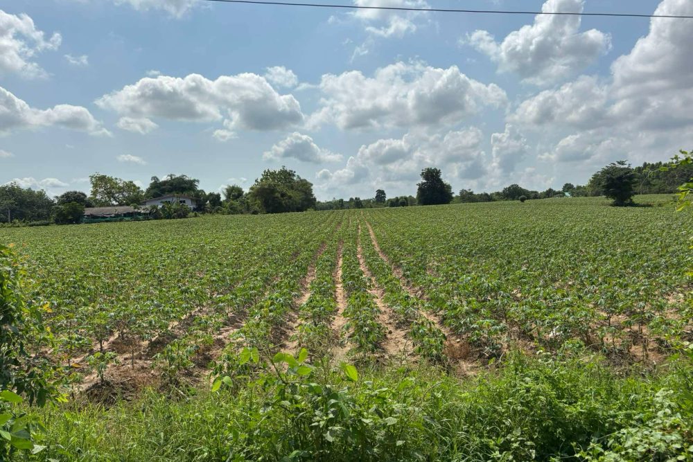 634248562_3330623620420213_7452325598850079787_n