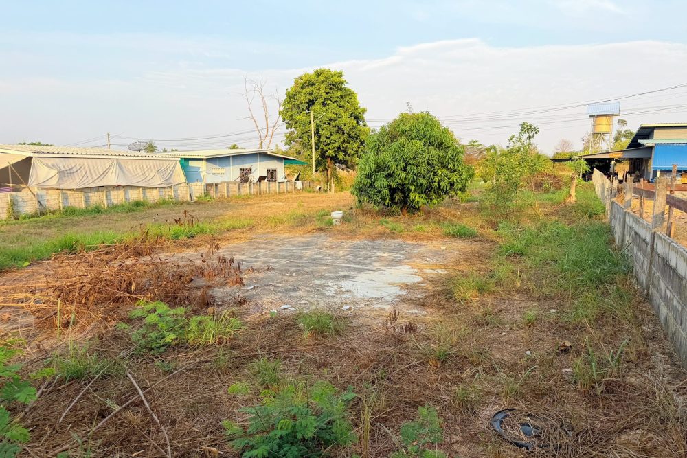 636661438_1912295542723967_7750698173695270509_n