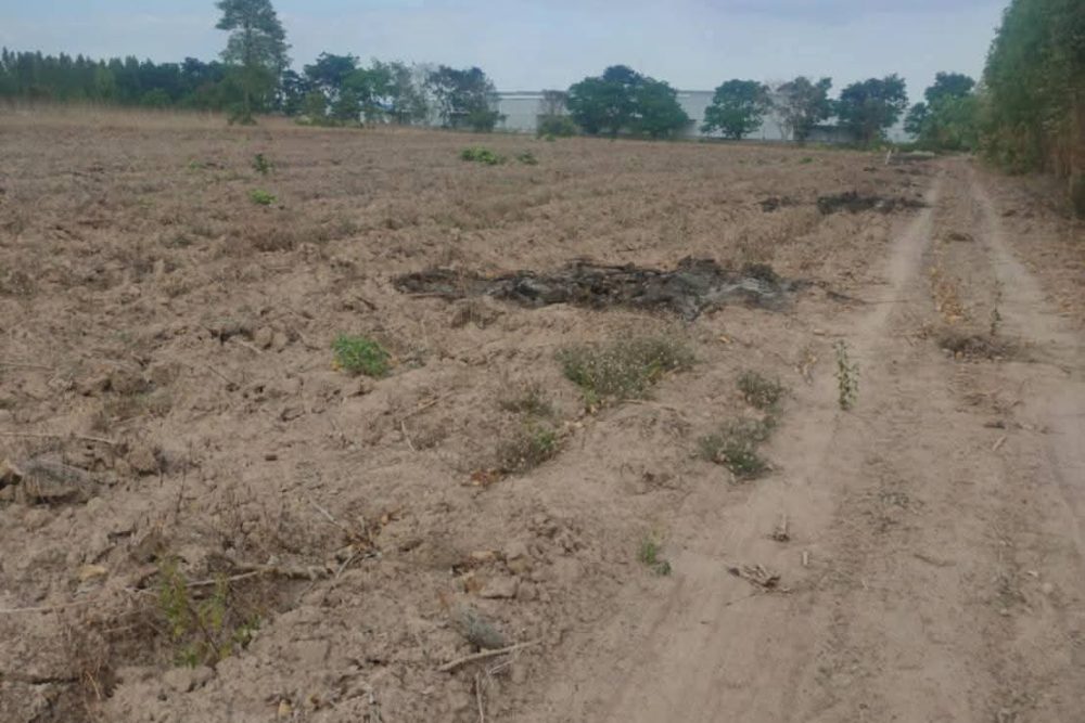 637344210_3388795511270341_1824400035313403776_n