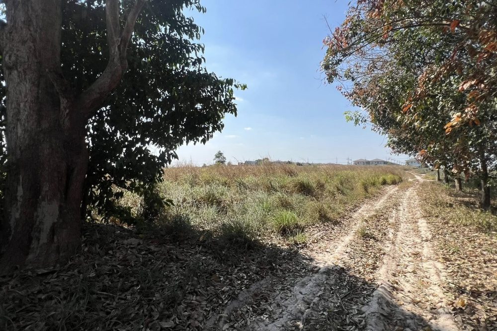 637612253_2700875253611367_8051711209862131493_n