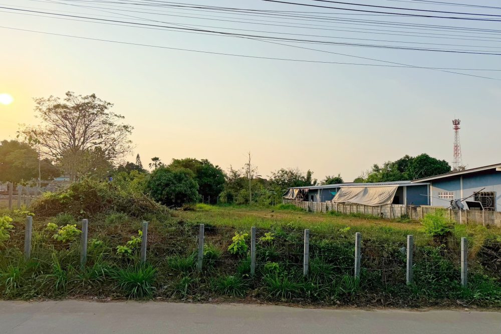 637895800_1912295512723970_7376679718928534708_n