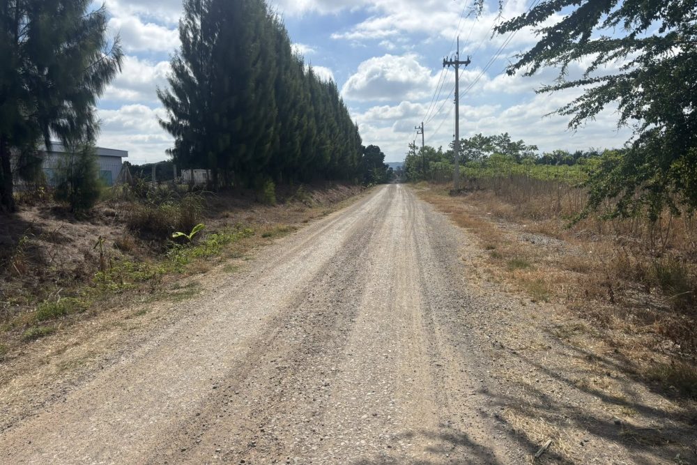 639634710_4191854871125546_1361145693264130887_n