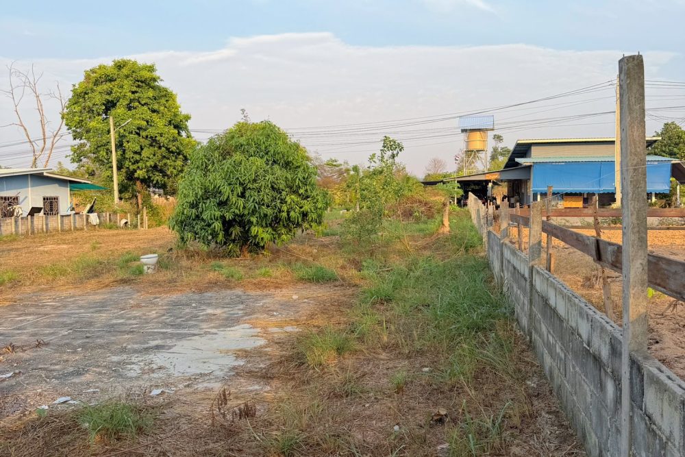 640186130_1912295552723966_4185528261983513019_n