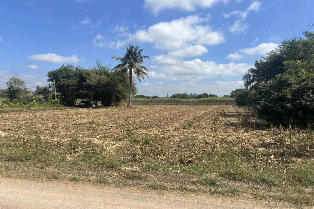 641283771_4191855017792198_863312086022860579_n