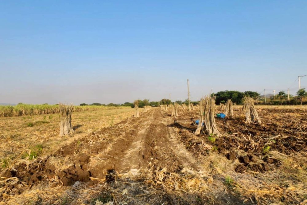 641334685_4191854907792209_915972399309692997_n