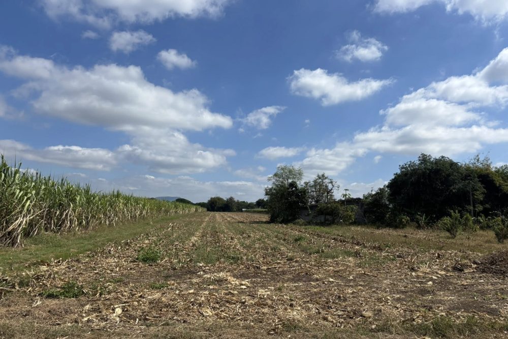 641382718_4191855051125528_2949520340134551160_n