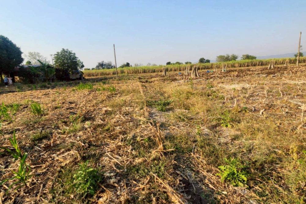 641442569_4191854917792208_160168698485652698_n