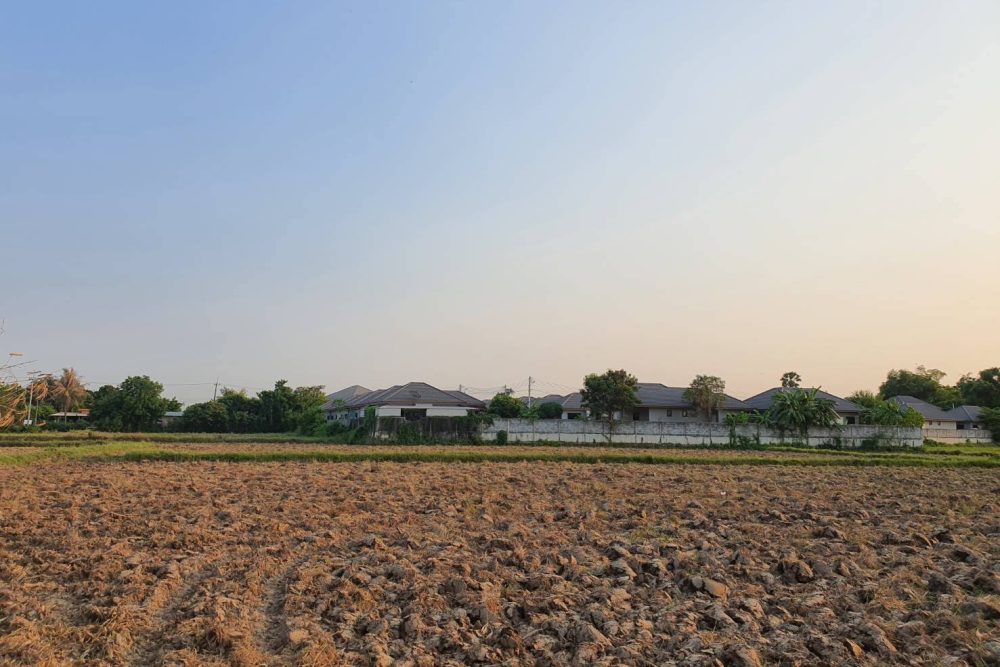 645068085_4405544256369025_9092741836975704888_n