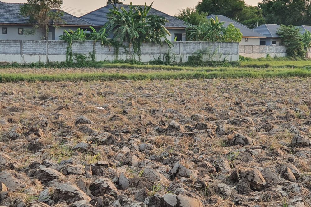 645314543_4405544443035673_4697038294735425351_n