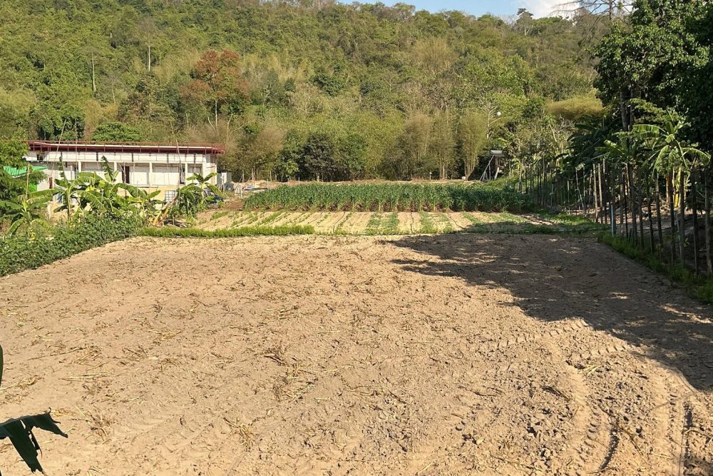 648380354_2155513861850894_4942829547277218827_n