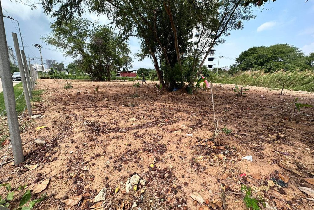 650842711_890134917176453_3314108553837681897_n