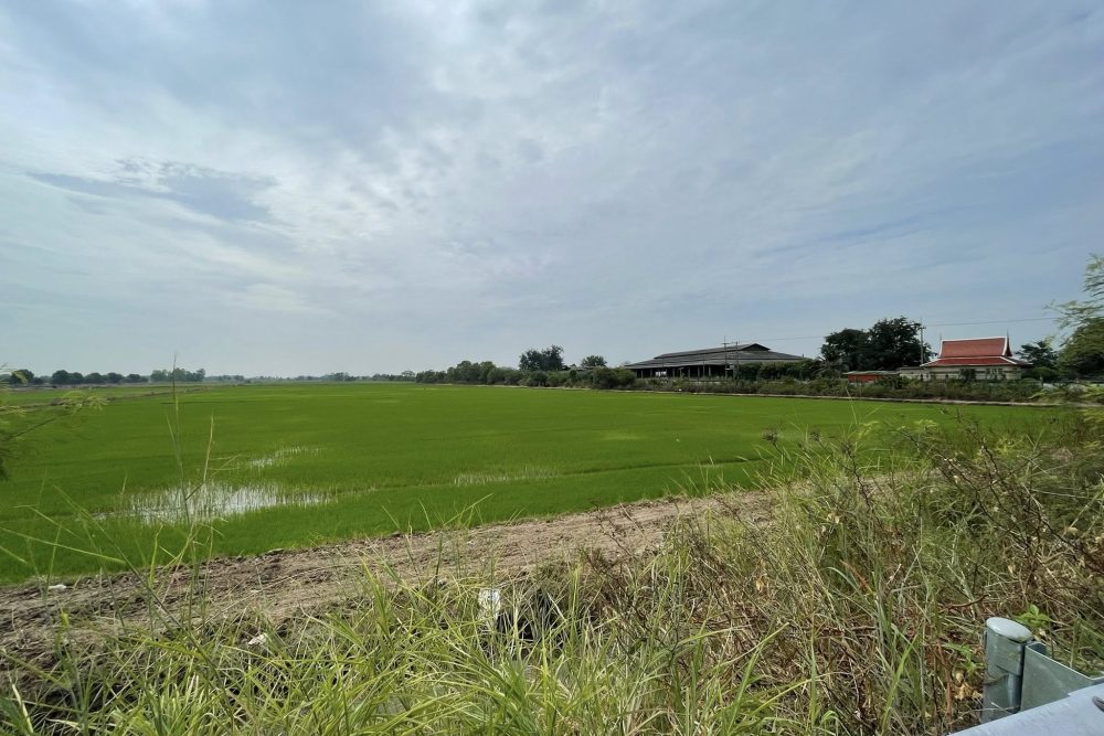 651007041_25160961026913828_1649180474793050718_n