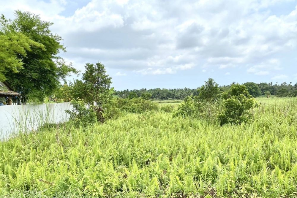 656027472_926805303607523_2308773264621139945_n