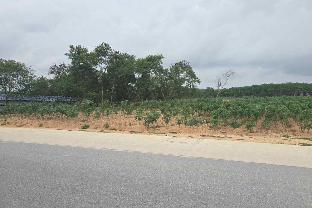 656057891_35621201894145435_2297615839064587485_n_11zon