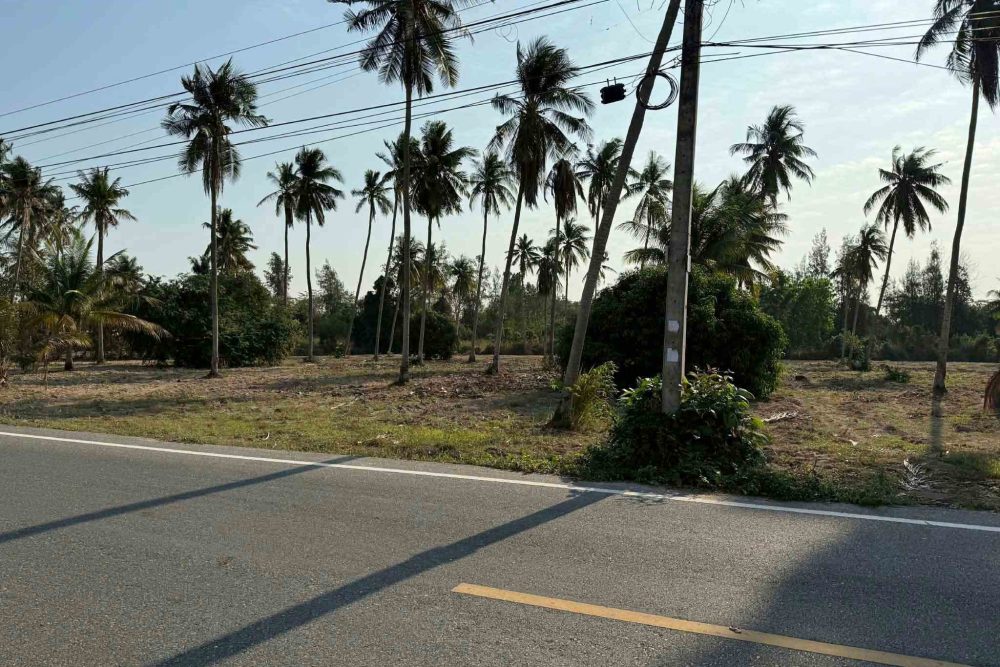 674625547_10237237868979704_3278263209067757276_n_11zon