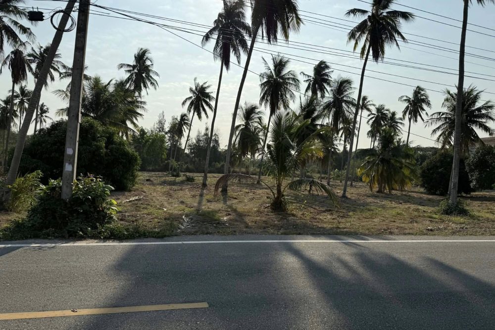 677655513_10237237869539718_9086430320884266809_n