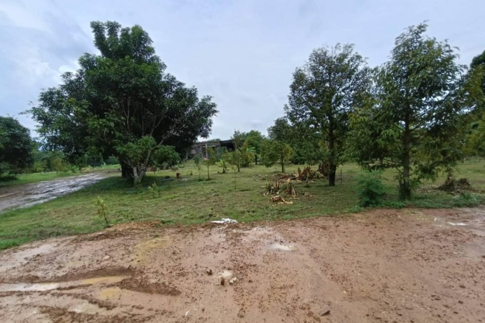 728dcb0c-1e75-4403-9096-ce7201a31b4b