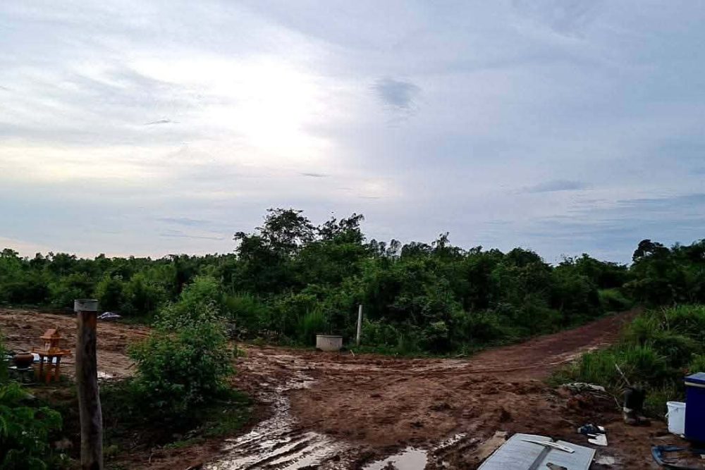 86c19137-0287-4006-99ec-7ace3668445d