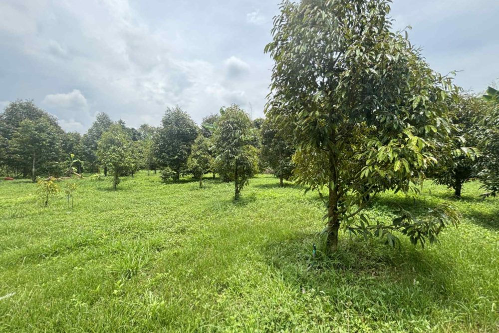 8ba95774-28b4-46ae-aa28-0614cd61536b