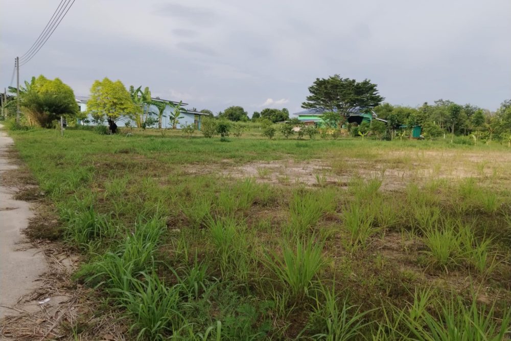 93aaa44f-d166-40bd-957c-1ececaa6fcfd