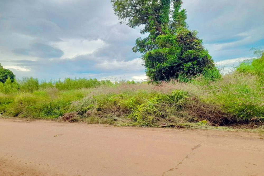 9c039743-5bfd-490a-a68a-25b7222668a1