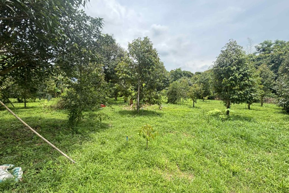 9d6edce3-81d3-48d0-ba29-14d9f522fc6e