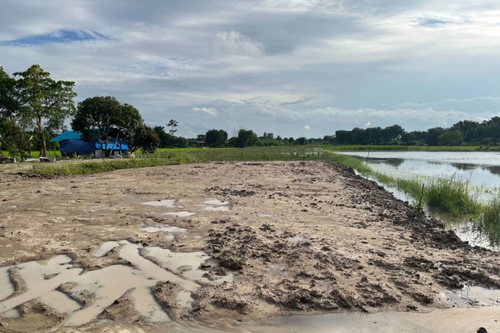 A7972300-9353-43E6-A549-FB79BA304441