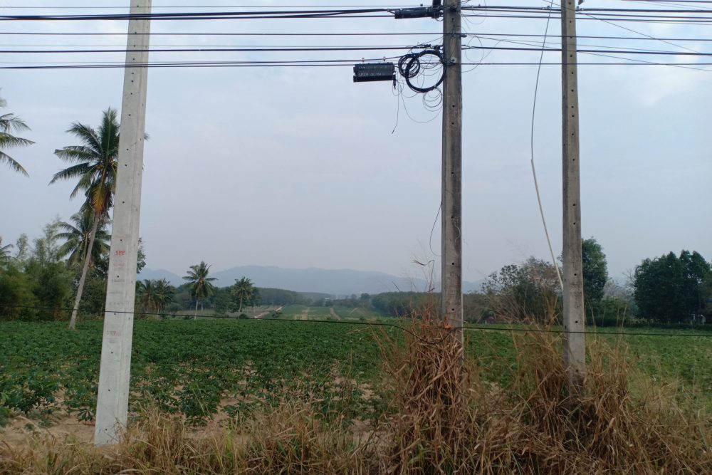 oppo_2