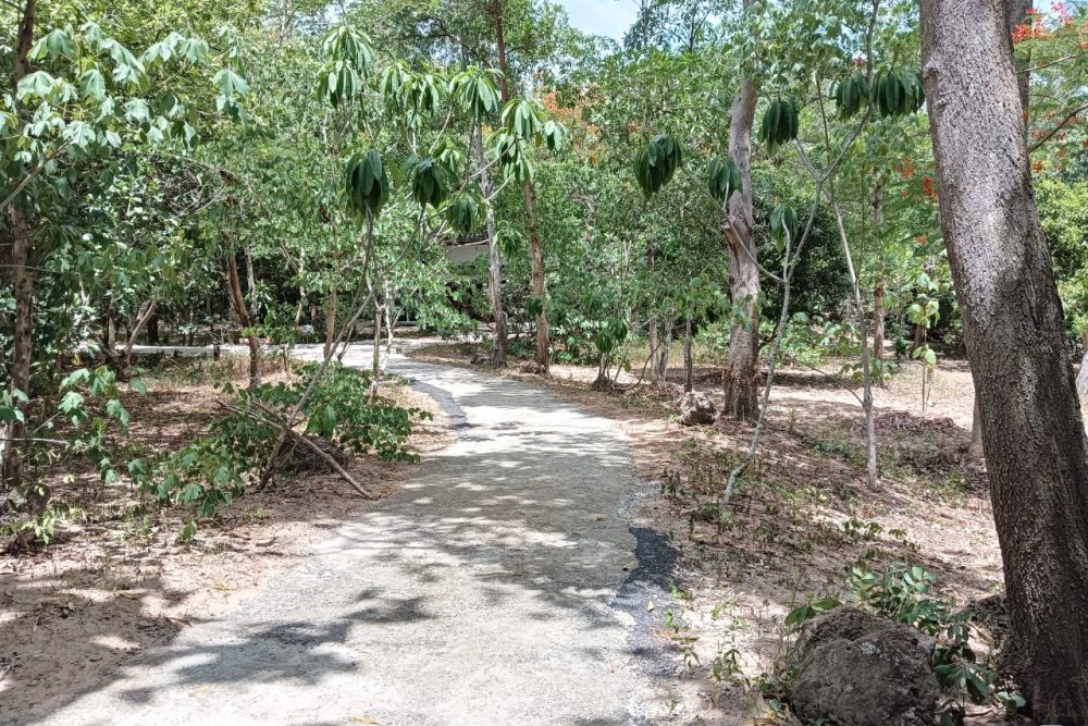 LINE_ALBUM_สวนบางละมุง21.6.66_๒๓๐๖๒๓_22_0