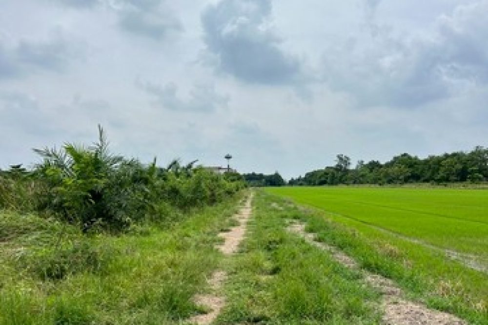 LINE_NOTE_250512_7_NEW