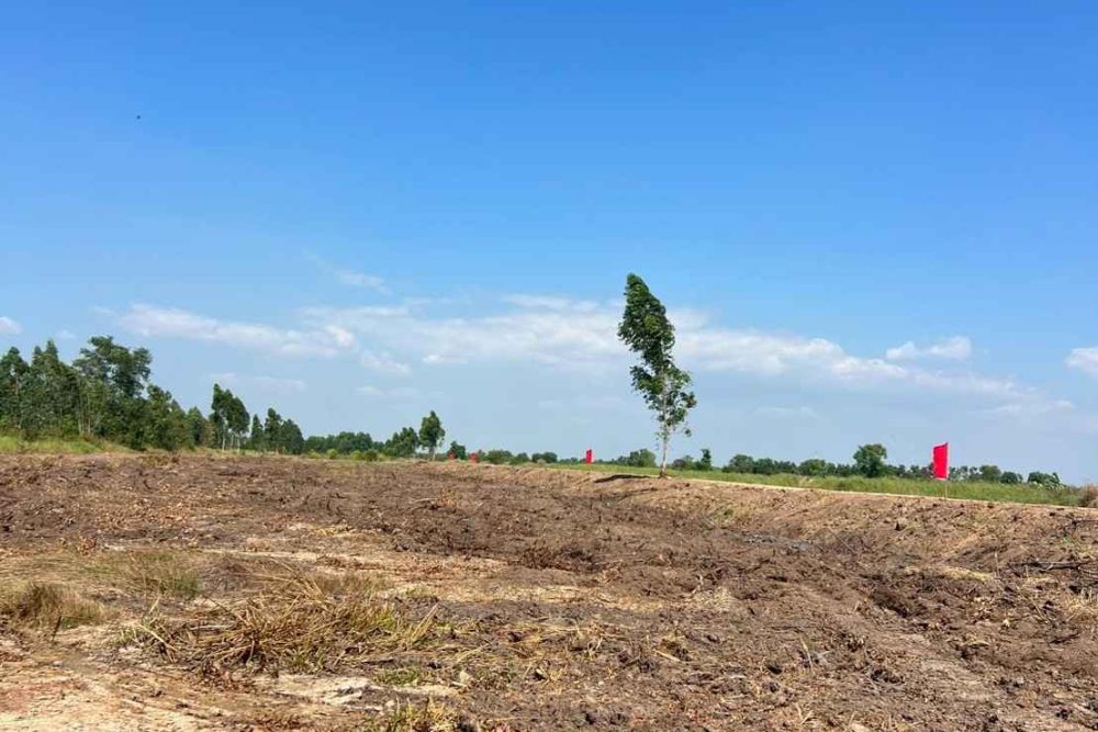 LINE_NOTE_260124_8_11zon