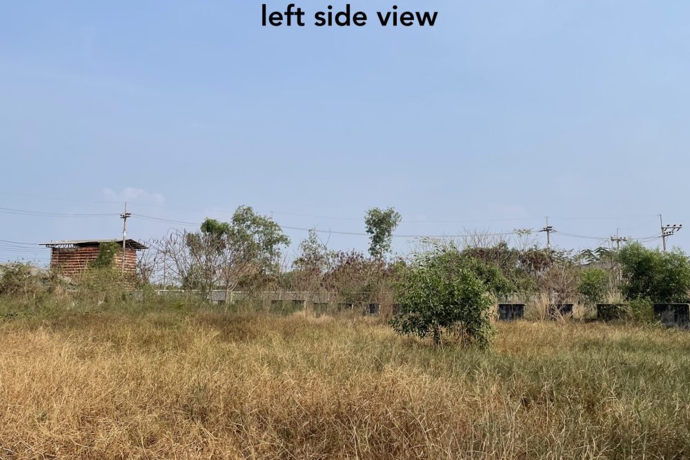 Left side view