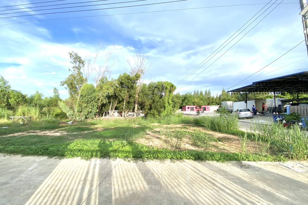 S__38502529_0