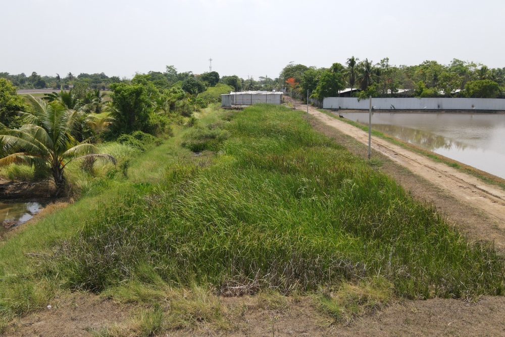 S__38879374