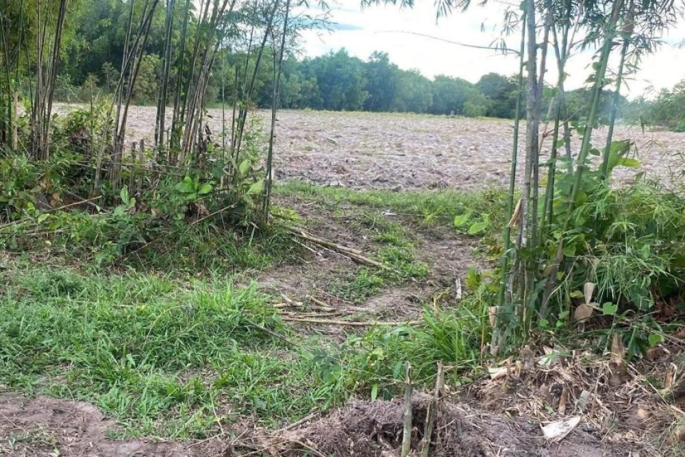 ภาพหน้าจอ_010526_110617_AM